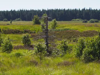 Signal de Botrange (België)